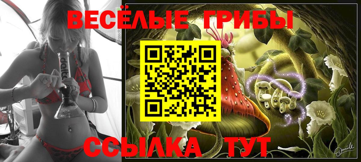 Галлюциногенные грибы Cubensis  Вход с VPN  Фролово  Галлюциногенные грибы Cubensis 