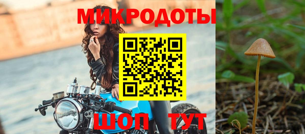 Псилоцибиновые грибы Psilocybe Фролово